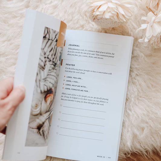 Open book with a tiger illustration on a fluffy white surface