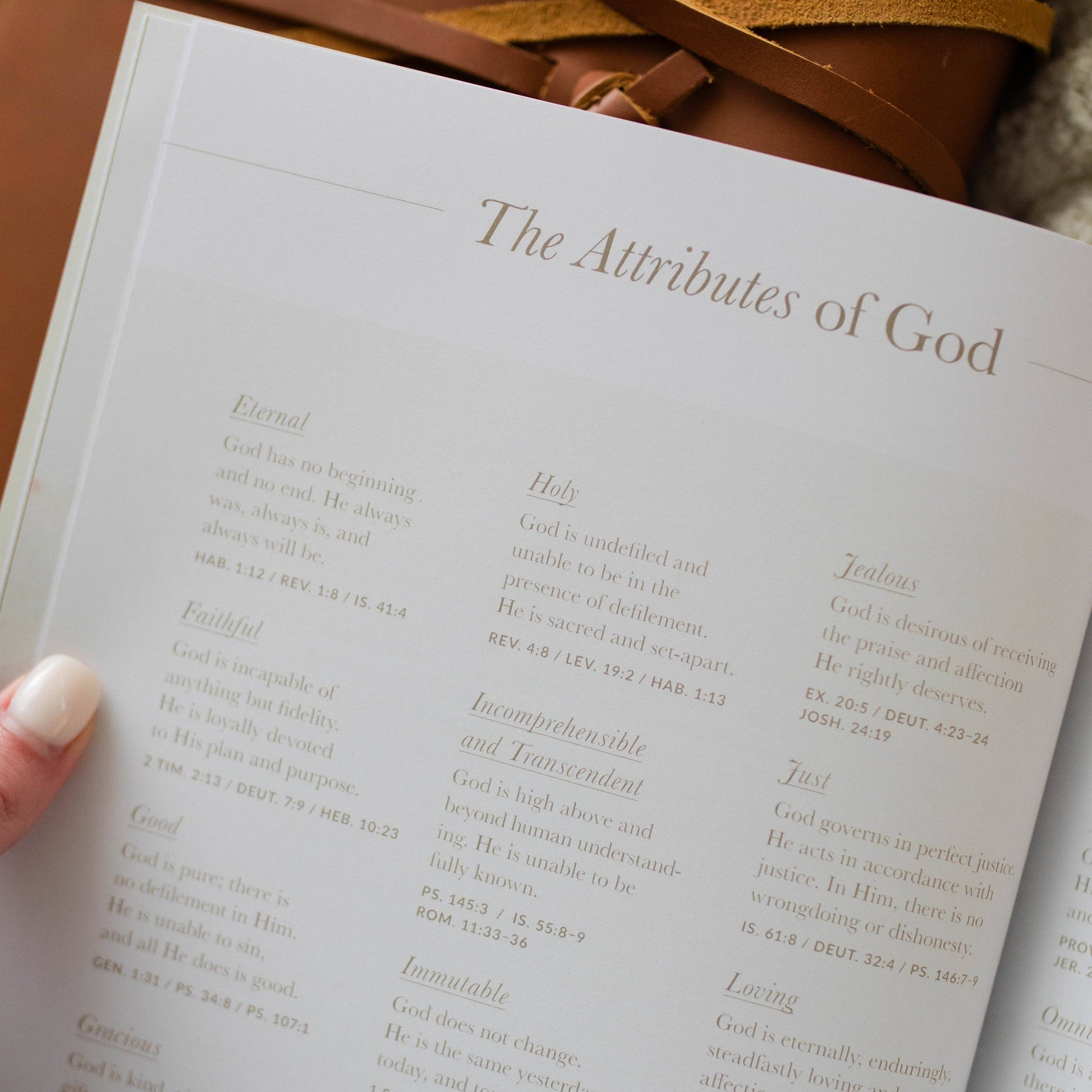 Book titled 'The Attributes of God' held by a hand with a blurred background